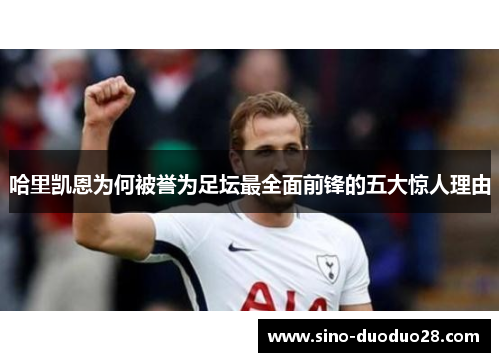 哈里凯恩为何被誉为足坛最全面前锋的五大惊人理由