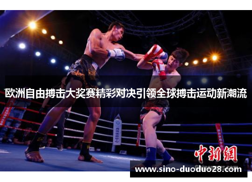 欧洲自由搏击大奖赛精彩对决引领全球搏击运动新潮流