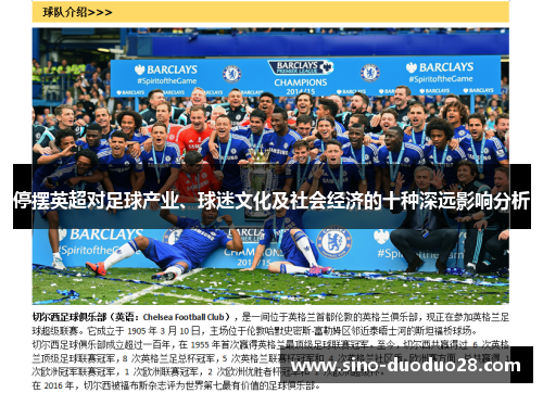停摆英超对足球产业、球迷文化及社会经济的十种深远影响分析 停摆英超对足球产业、球迷文化及社会经济的十种深远影响分析