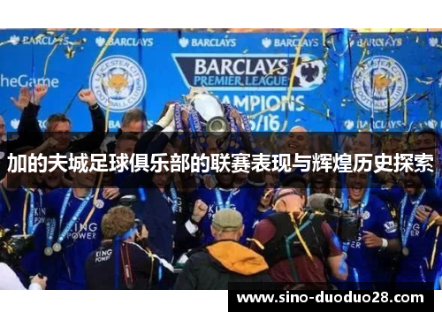 加的夫城足球俱乐部的联赛表现与辉煌历史探索