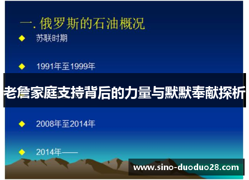 老詹家庭支持背后的力量与默默奉献探析