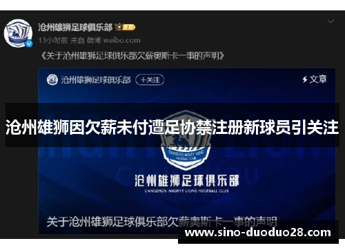 沧州雄狮因欠薪未付遭足协禁注册新球员引关注