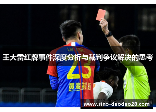 王大雷红牌事件深度分析与裁判争议解决的思考 王大雷红牌事件深度分析与裁判争议解决的思考