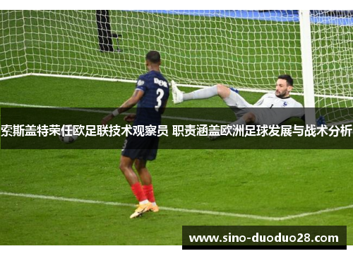 索斯盖特荣任欧足联技术观察员 职责涵盖欧洲足球发展与战术分析