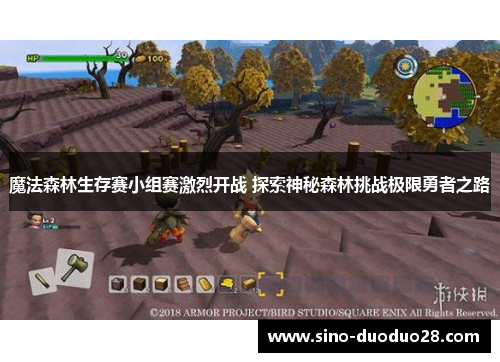 魔法森林生存赛小组赛激烈开战 探索神秘森林挑战极限勇者之路 魔法森林生存赛小组赛激烈开战 探索神秘森林挑战极限勇者之路