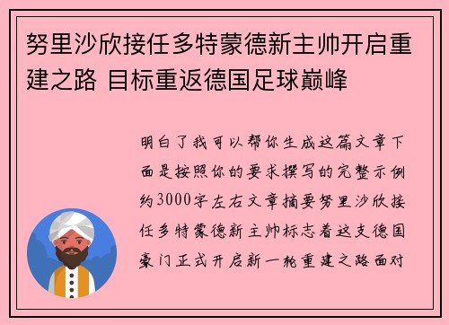 努里沙欣接任多特蒙德新主帅开启重建之路 目标重返德国足球巅峰 努里沙欣接任多特蒙德新主帅开启重建之路 目标重返德国足球巅峰